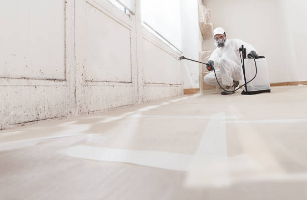 24/7 Emergency Black Mold Remediation experts in Canton, PA